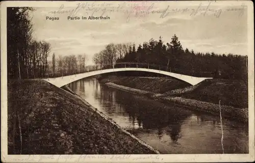 Ak Pegau in Sachsen, Alberthain, Brücke