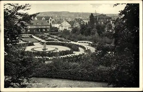 Ak Gera in Thüringen, Dahliengarten