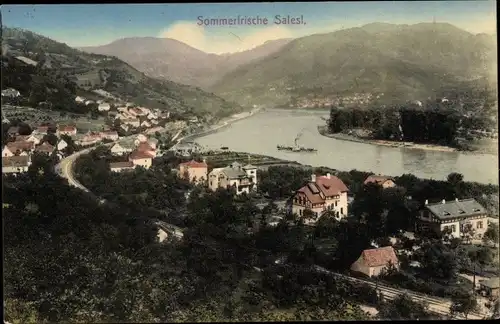 Ak Dolní Zálezly Salesel an der Elbe Region Aussig, Panorama