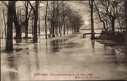 Ak Göttingen in Niedersachsen, überschwemmte Maschwiese, 4. - 6. Februar 1909