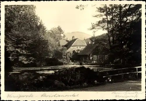 Ak Wernigerode im Harz, Teich, Wohnhäuser