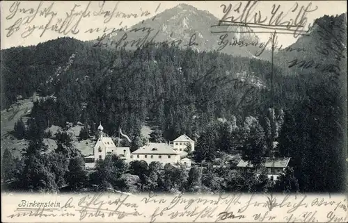 Ak Birkenstein Fischbachau in Oberbayern, Teilansicht, Villa