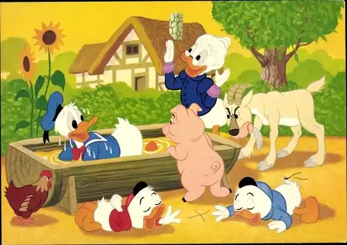 Ak Donald Duck, Grandma Duck, Schwein, Bauernhof, Tick, Trick, Track, Walt Disney