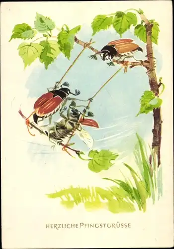 Ak Glückwunsch Pfingsten, Maikäfer auf einer Schaukel