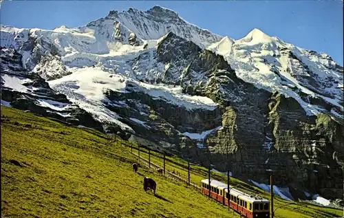 Ak Kanton Bern, Berner Oberland, Kleine Scheidegg, Jungfraubahn mit Jungfrau