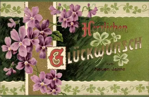 Präge Ak Glückwunsch Neujahr, Glücksklee, Veilchen