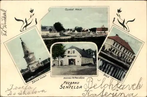 Ak Žižkovo Pole Šenfeld Zischkafeld Region Hochland, Totalansicht, Gasthaus, Schule