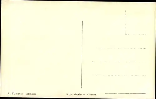 Ak Opatija Abbazia Kroatien, Palme, Dampfer