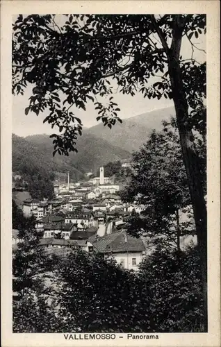 Ak Valle Mosso Piemonte, Panorama