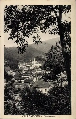 Ak Valle Mosso Piemonte, Panorama