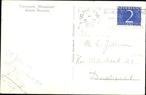 Ak Tierpark Wassenaar, Pavian, Portrait