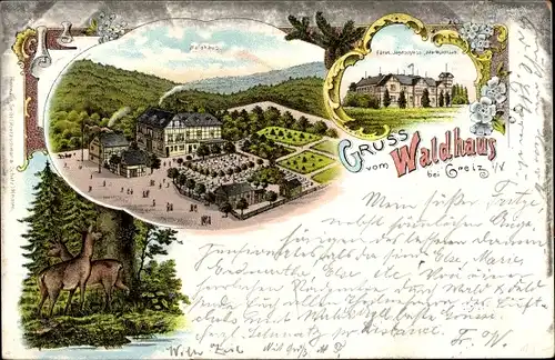 Litho Mohlsdorf Teichwolframsdorf in Thüringen, Gruß vom Waldhaus, Jagdschloss