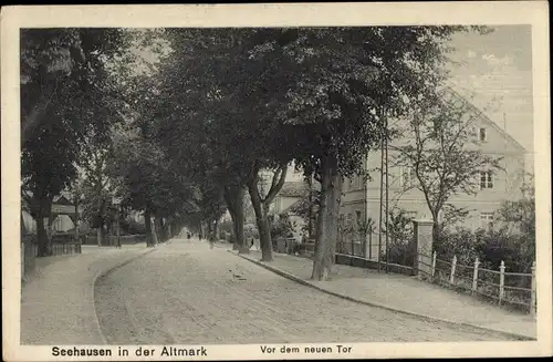 Ak Seehausen in der Altmark, Vor dem neuen Tor