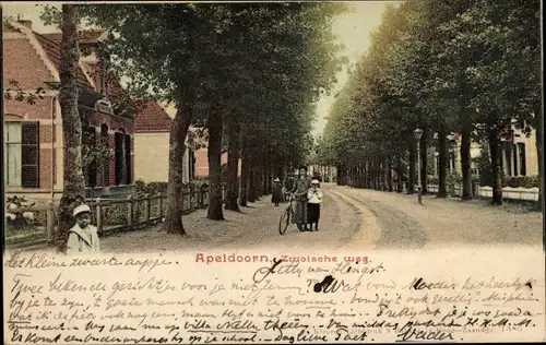 Ak Apeldoorn Gelderland, Zwolscheweg