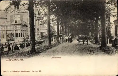 Ak Apeldoorn Gelderland, Marialaan