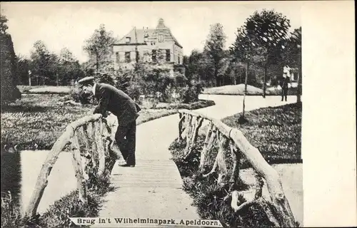 Ak Apeldoorn Gelderland, Wilhelminapark, Brücke