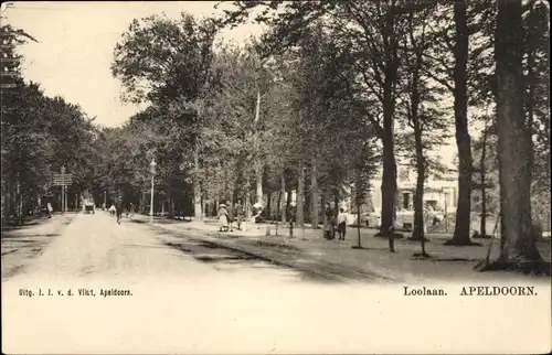Ak Apeldoorn Gelderland, Loolaan