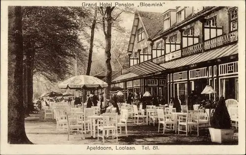 Ak Apeldoorn Gelderland, Loolaan, Grand Hotel Pension Bloemink