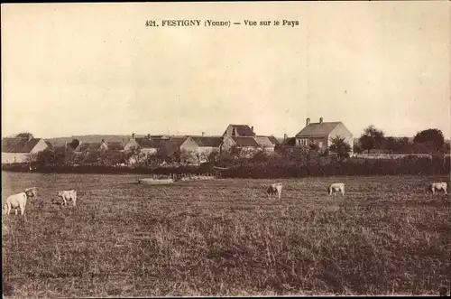 Ak Festigny Yonne, Blick auf das Land