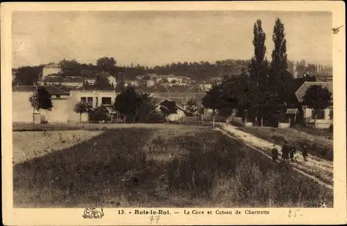 Ak Bois le Roy Eure, La Cave, Coteau de Chartrette