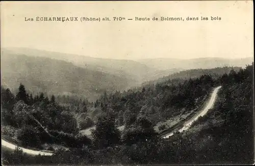 Ak Les Écharmeaux Rhône, Route de Belmont, dans les bois