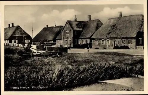 Ak Hallig Hooge in Nordfriesland, Königspesel