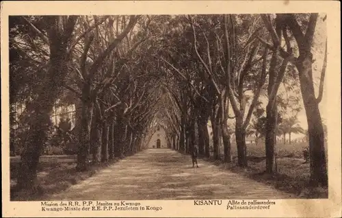 Ak Kisantu RD Kongo Zaire, Mission der RRPP-Jesuiten in Kwango, Rosewood Alley