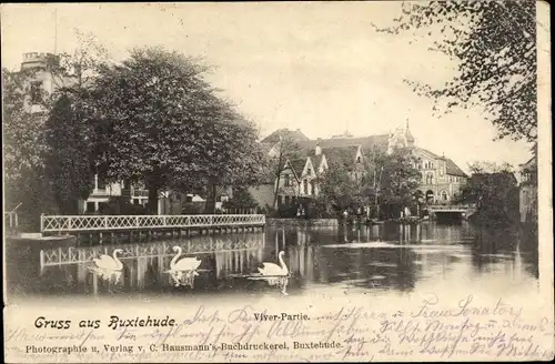 Ak Buxtehude in Niedersachsen, Viver, Schwäne