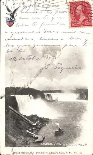 Wappen AK Niagara Falls New York USA, Gesamtansicht