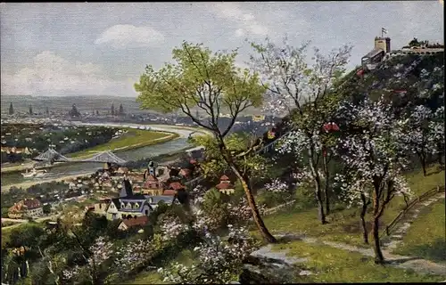 Ak Dresden Loschwitz, Schwebebahn, Loschwitzhöhe, Ortsansicht, Blühende Bäume