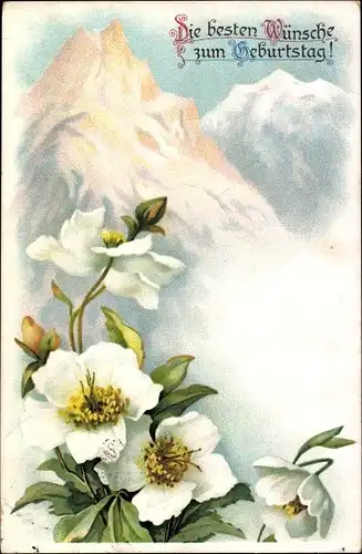 Ak Glückwunsch Geburtstag, Weiße Blumen, Gebirge