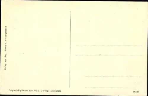 Ak Neckargemünd am Neckar, Hotel Pfalz