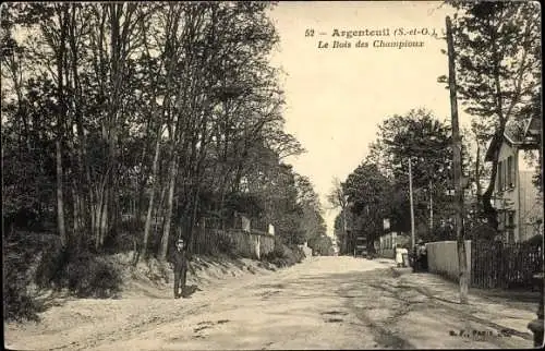 Ak Argenteuil Val d'Oise, Le Bois des Champioux