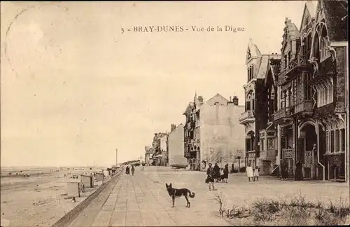 Ak Bray Dunes Plage Nord, Promenade, Hund