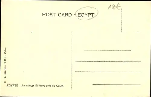 Ak Kairo Kairo Ägypten, Kamelreiter unter den Palmen