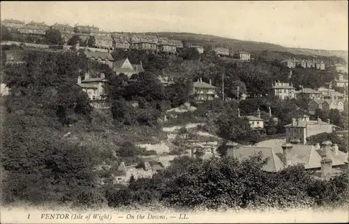 Ak Ventnor Isle of Wight England, Auf den Domas