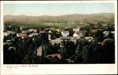 Ak Bad Kudowa in Schlesien, Ansicht des Ortes, Panorama