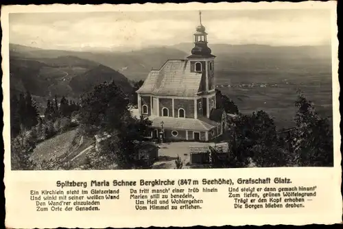 Ak Glatz in Schlesien, Spitzberg, Bergkirche, Wald