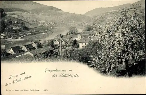 Ak Ziegelhausen Heidelberg am Neckar, Neckartal, Baumblüte