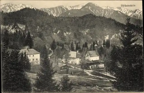 Ak Birkenstein Fischbachau in Oberbayern, Panorama