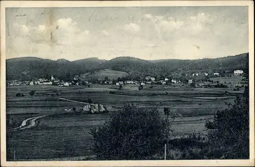 Ak Lázně Kynžvart Bad Königswart Region Karlsbad, Panorama