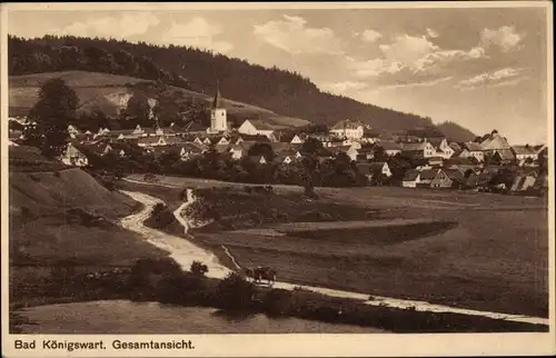 Ak Lázně Kynžvart Bad Königswart Region Karlsbad, Gesamtansicht