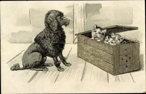 Litho Pudel beobachtet Kätzchen in einer Holzkiste, Chicorée a la Menagere