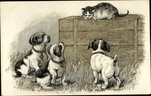 Litho Drei Terrierwelpen beobachten eine junge Katze, Chicoree a la Menagere