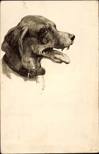 Litho Tierportrait, Hund mit Halsband