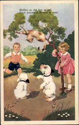 Ak Katze ist vor Hunden auf einen Baum geflüchtet, Kinder