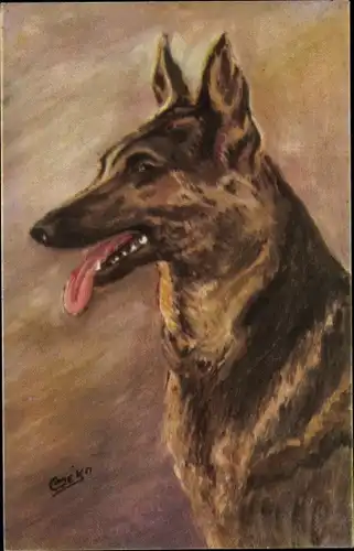 Künstler Ak Schäferhund, Hundeportrait