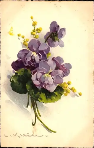Künstler Ak Klein, Catharina, Blumenstrauß, Lila Stiefmütterchen, Blüten