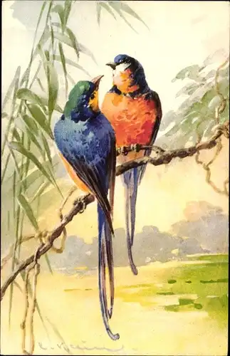 Künstler Ak Klein, Catharina, Zwei Vögel