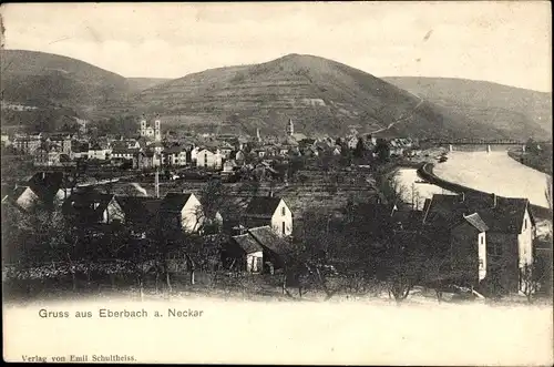 Ak Eberbach am Neckar Odenwald Baden, Panorama